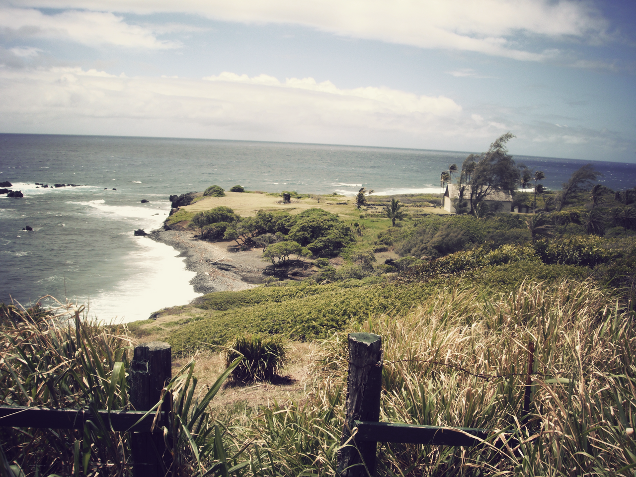 A House With a View