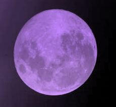 Purple Moon