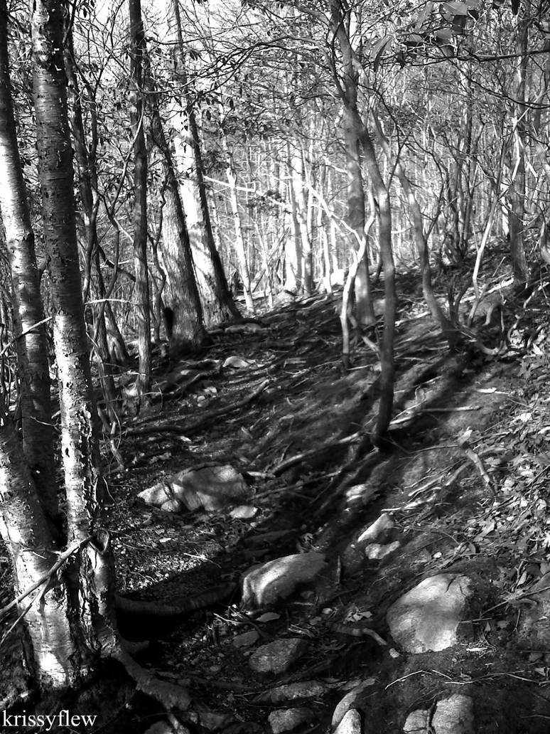 trailing roots by krissyflew on DeviantArt