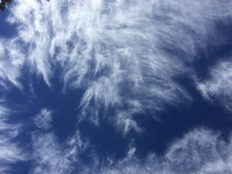 20161012 Feathery Clouds Oct 16 0020