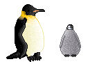 Penguins