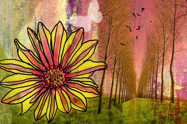 Weather Wind Spring Deviantart spring by leising11046 on DeviantArt