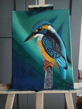 Kingfisher