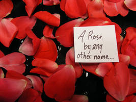 A Rose By Any Other Name...