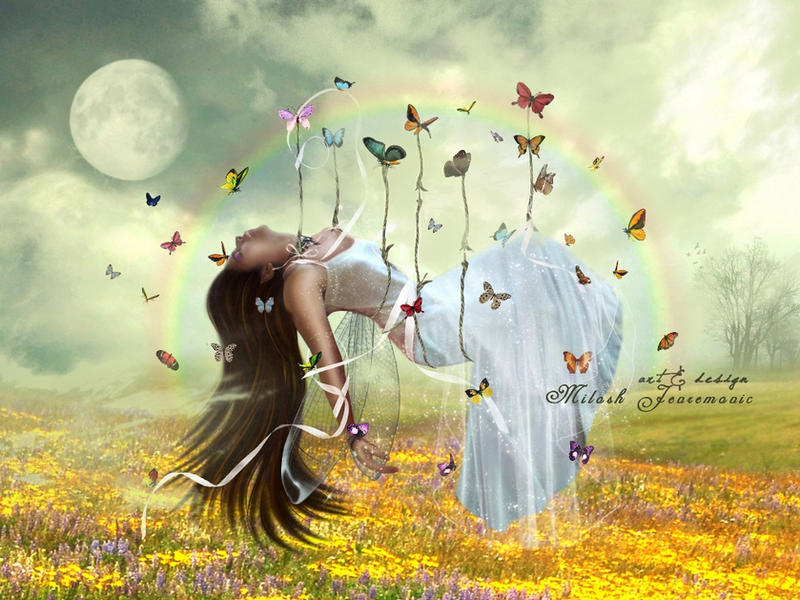 Butterfly Dream by MiloshJevremovic Butterfly Dream by MiloshJevremovic