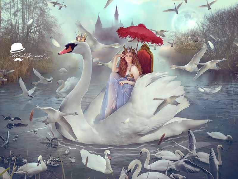 Prince of Swans by MiloshJevremovic