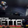 Vettel World Champion 2010