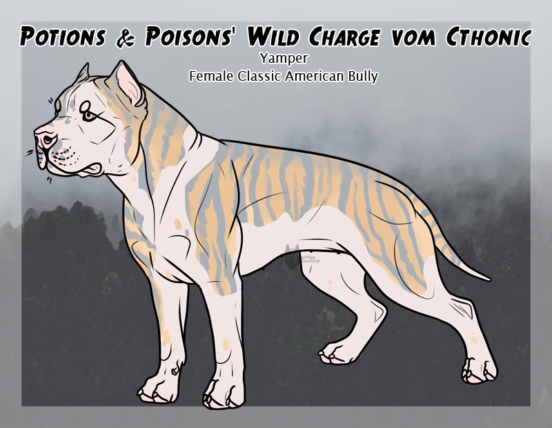 Classic american best sale pitbull terrier kennels