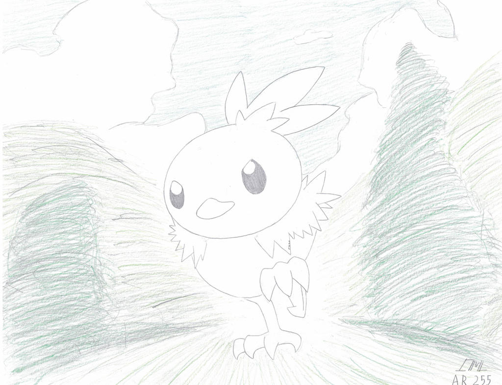 Torchic Draw Pokemon Card 255 - Torchic by Construct-Master on DeviantArt