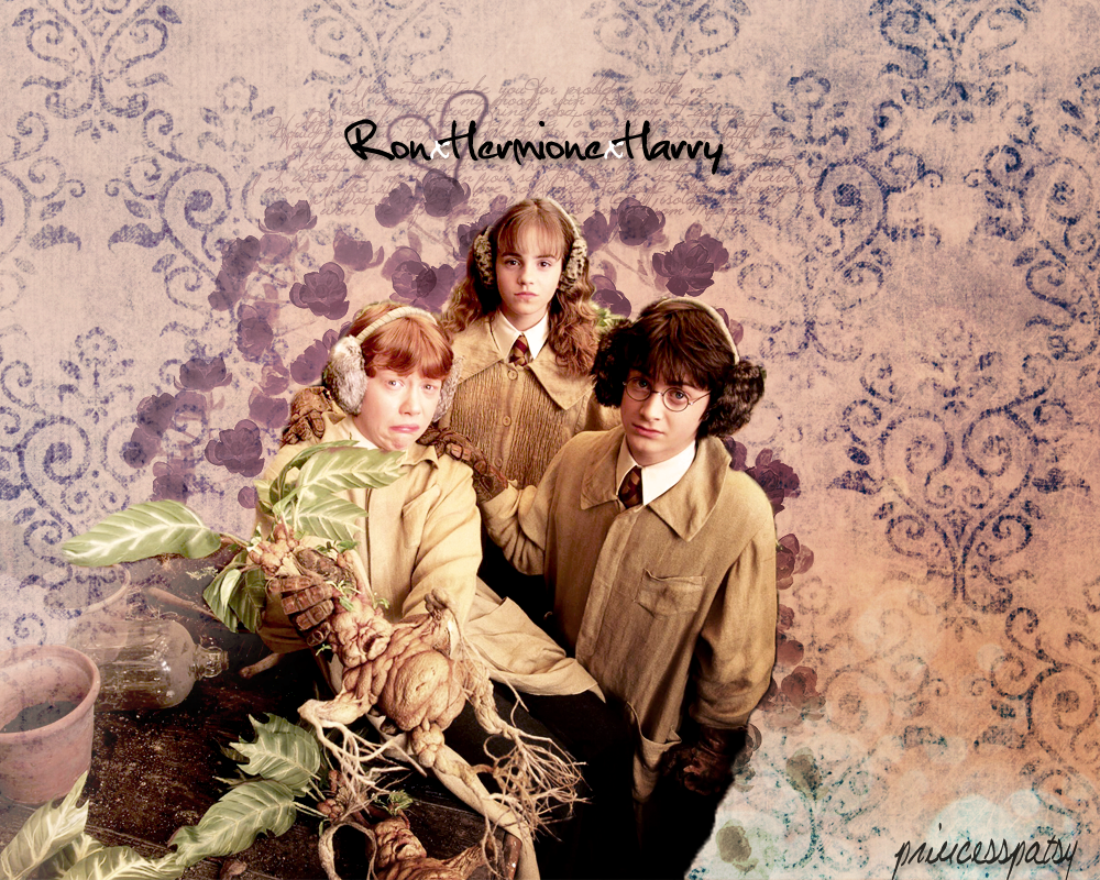 Ron x Hermione x Harry