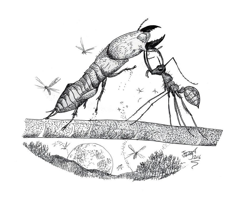 Big Burmese Bugs Battle!