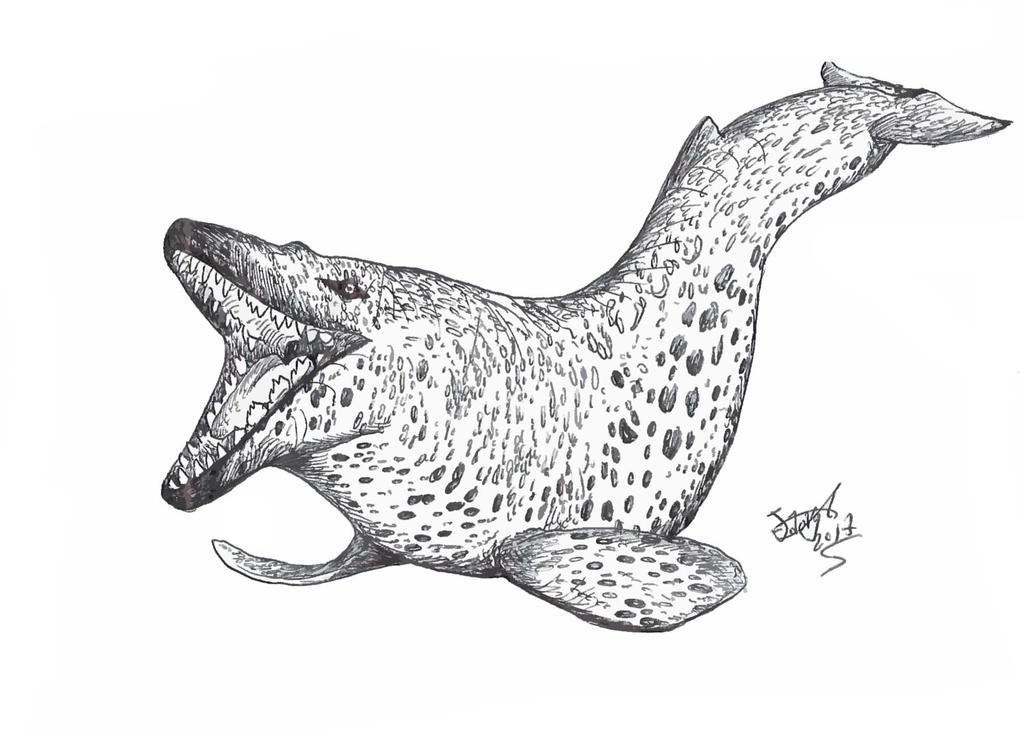 Leopard whale