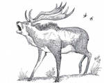 Arvernoceros, the other giant deer