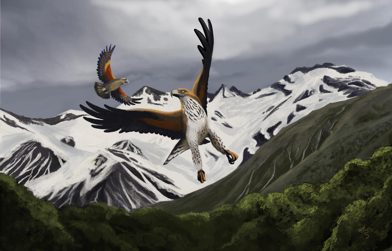 Haast s Eagle By HodariNundu On DeviantArt haast-s-eagle-by-hodarinundu-on-deviantart