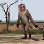 Paradolichopithecus