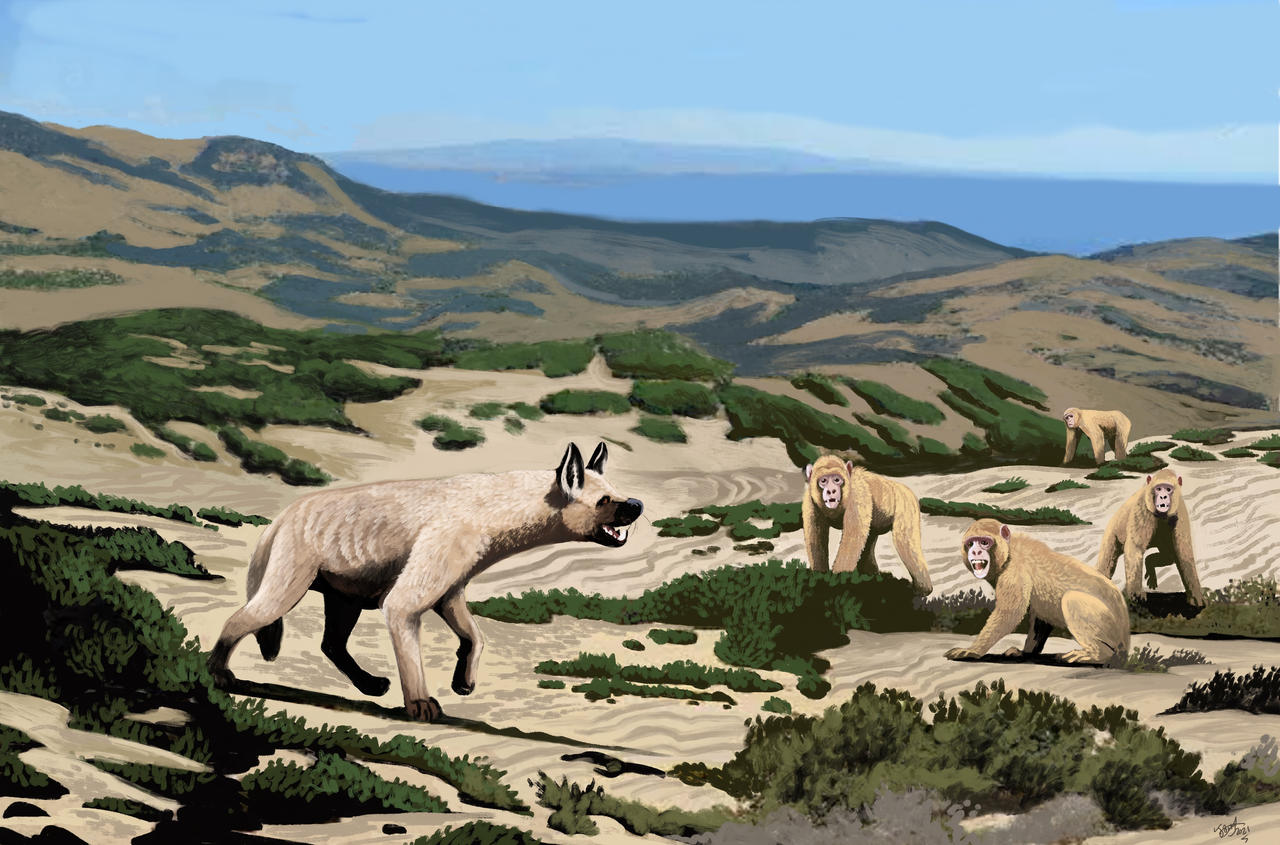 [CTC14] Le dernier héritier d'une longue lignée Sardinian_hyena_by_hodarinundu_deintxo-fullview.jpg?token=eyJ0eXAiOiJKV1QiLCJhbGciOiJIUzI1NiJ9.eyJzdWIiOiJ1cm46YXBwOjdlMGQxODg5ODIyNjQzNzNhNWYwZDQxNWVhMGQyNmUwIiwiaXNzIjoidXJuOmFwcDo3ZTBkMTg4OTgyMjY0MzczYTVmMGQ0MTVlYTBkMjZlMCIsIm9iaiI6W1t7ImhlaWdodCI6Ijw9ODQ1IiwicGF0aCI6IlwvZlwvMmZlMmQzNDMtNDhjZC00NGYxLWI3OTctY2M3NTlhMWEzMTMxXC9kZWludHhvLTNlYjIzNWFjLTkxZWUtNDQ4NC04OWRlLTVmYzM4MTFhYjllNS5qcGciLCJ3aWR0aCI6Ijw9MTI4MCJ9XV0sImF1ZCI6WyJ1cm46c2VydmljZTppbWFnZS5vcGVyYXRpb25zIl19