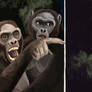 Pleistocene Meme