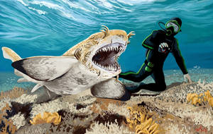 Diving with Palaeocarcharias