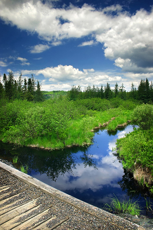 Galbraith Peatland