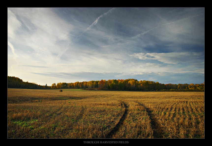 Through Harvested Fields