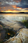 Autumn Evening at Gordon Lake by tfavretto