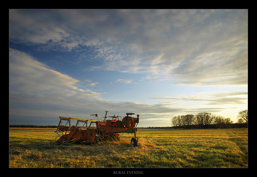 Rural Evening