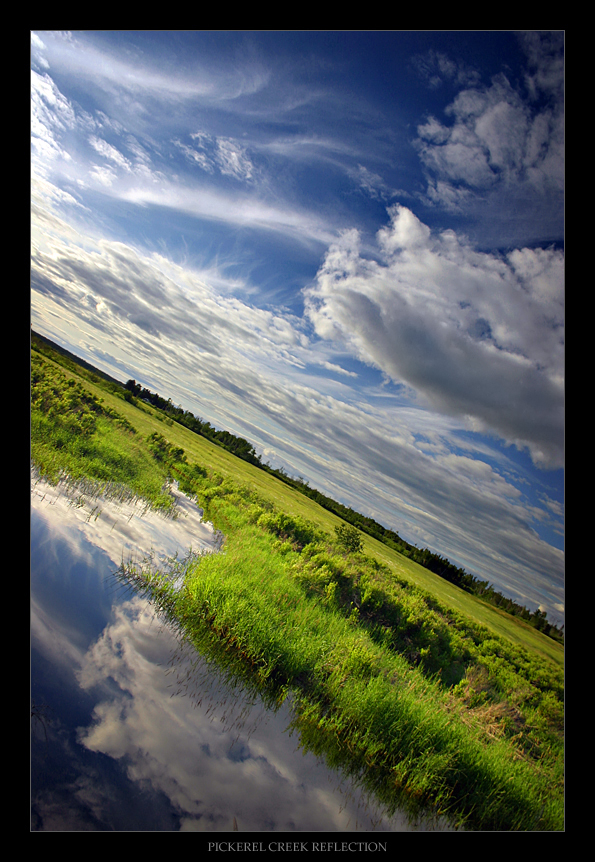 Pickerel Creek Reflection