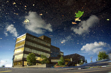 Civic Centre Reflection