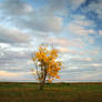 Autumn in Thessalon