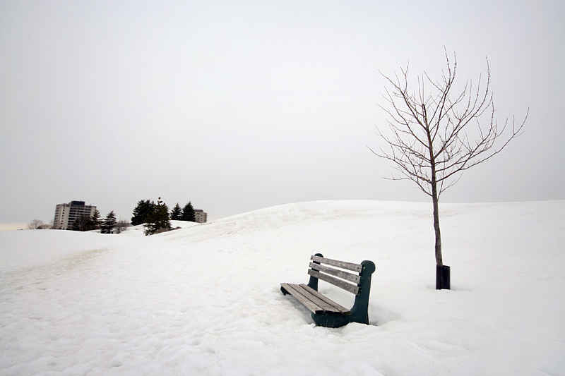 Winter in Bellevue Park