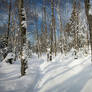 Hiawatha Snowshoe Trail