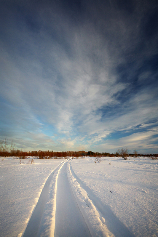 Frozen Trail