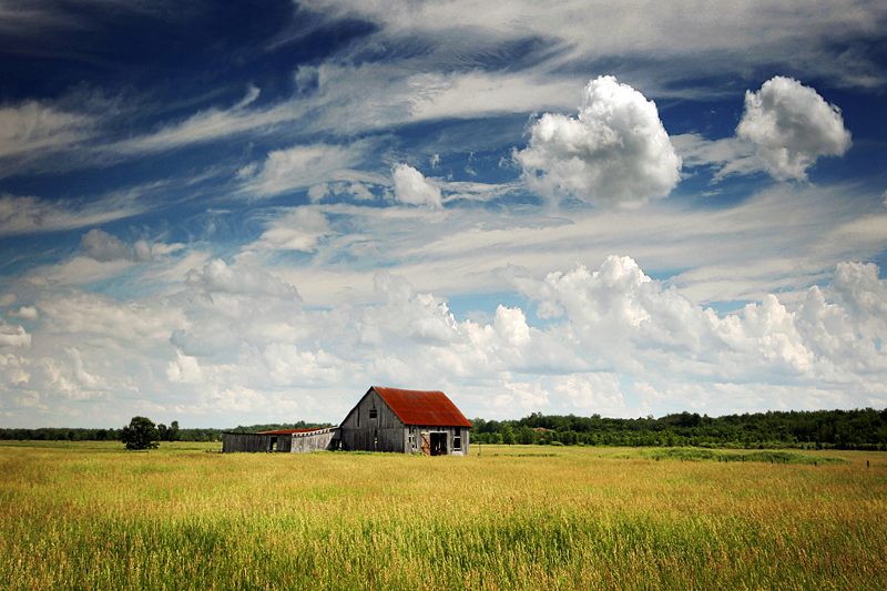 Dunrobin Barn