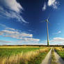 Spring Bay Windmill