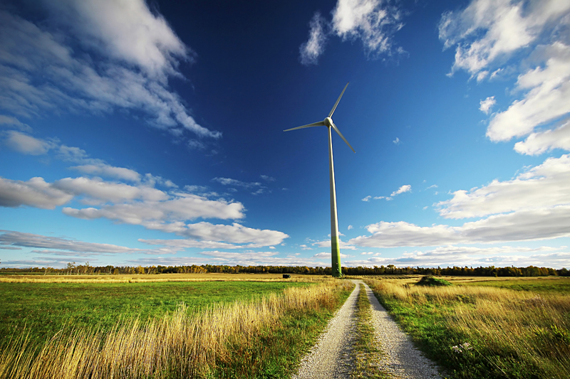 Spring Bay Windmill