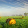 Foggy Morning in Laird Township