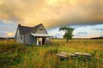Abandoned on 11 Mile Road by tfavretto