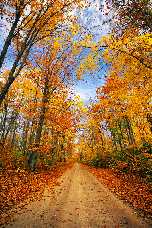 Autumn in Alger County by tfavretto