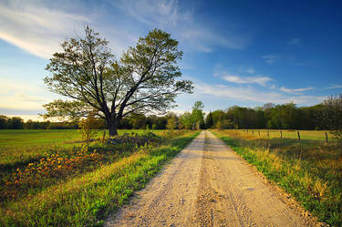 Sand Ridge Road