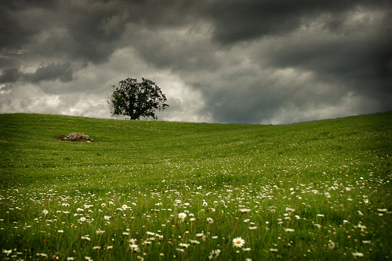 Gordon Lake Grasslands