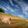 Hillside Hay Bales