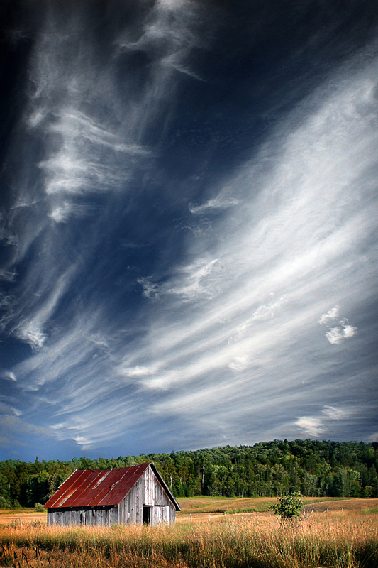 Wisps of the Welkin