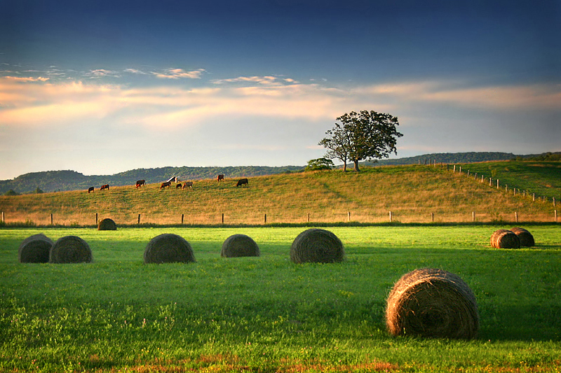 An Evening on the Farm