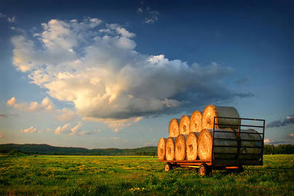 Bales of the Bar River Valley