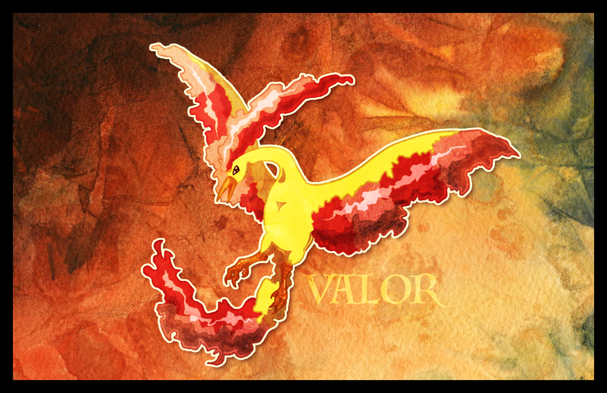 Team Valor