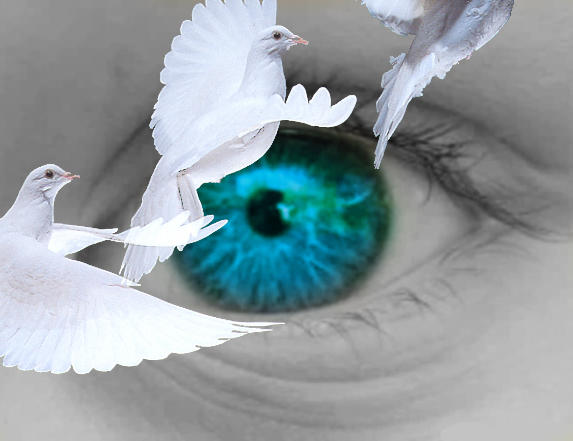 Doves around eye