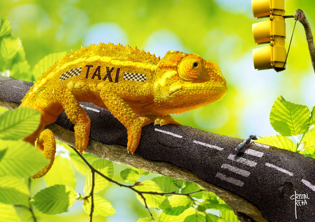 Chameleon Taxi by cristalreza