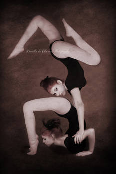 Contortion Sisters