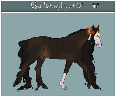 Elven Hatengi Import 009 - open