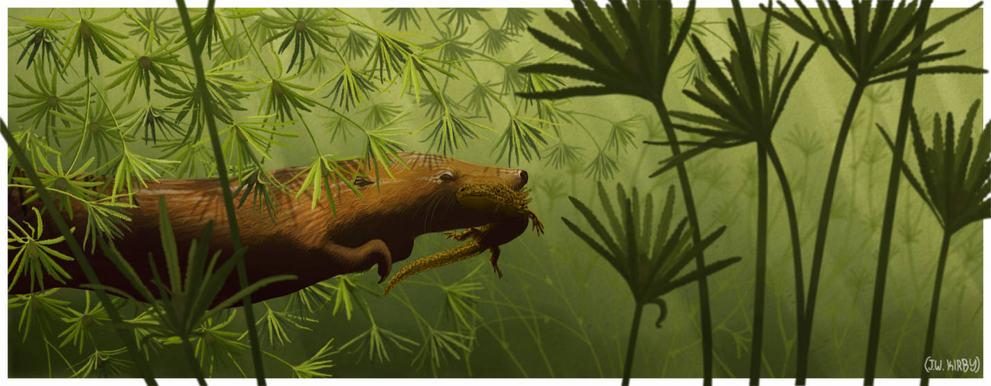 Castorocauda and Chunerpeton by KirbyniferousRegret on DeviantArt